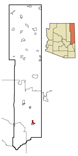 springerville arizona1
