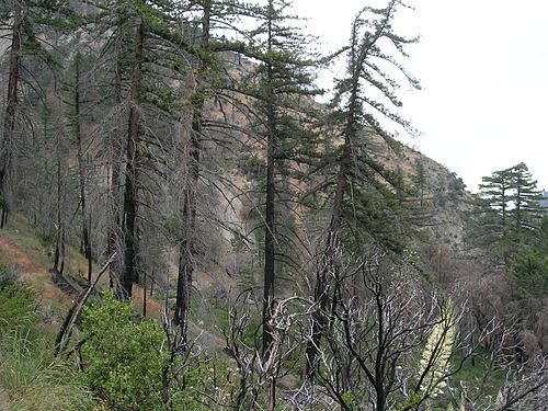 lytle creek california0
