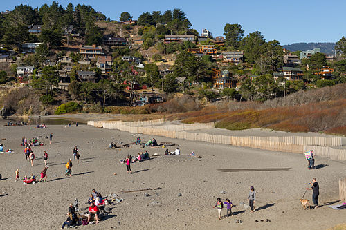 muir beach california0