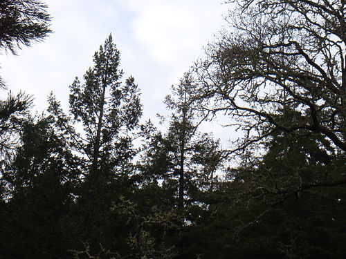 woodacre california0
