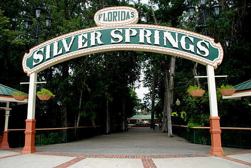 silver springs florida0
