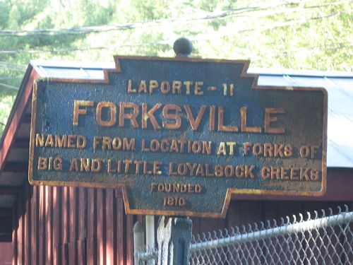 forksville pennsylvania1